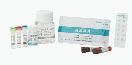 吸道感染病原体抗体IgM检测试剂盒（间接免疫荧光法）